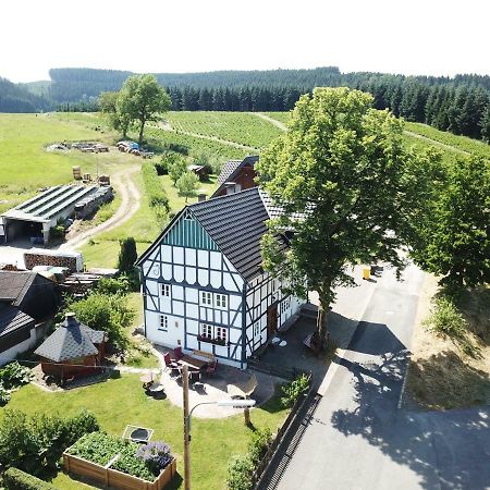 Ortmanns Eulennest Villa Finnentrop Kültér fotó