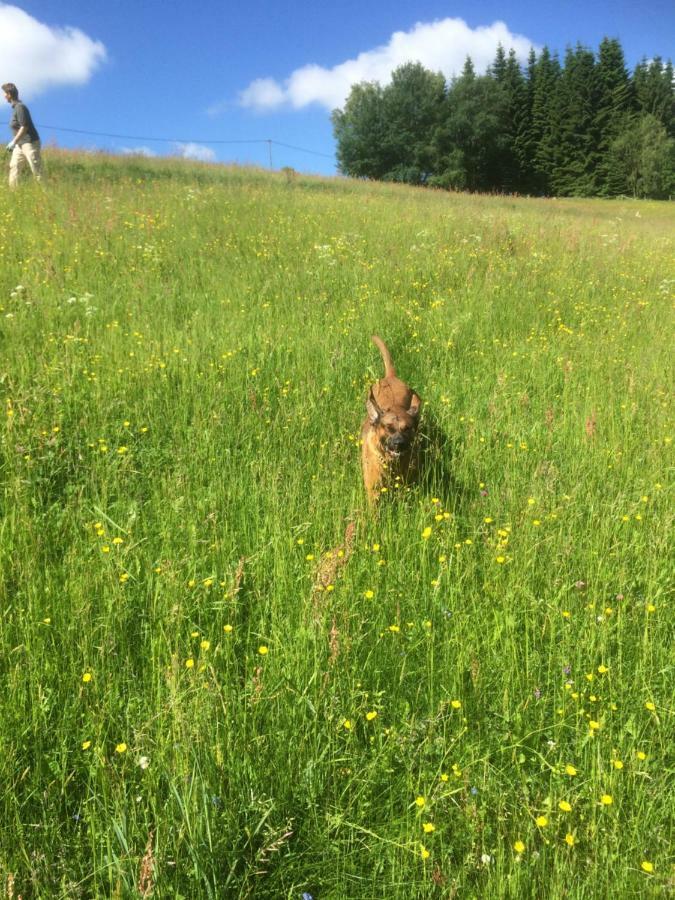 Ortmanns Eulennest Villa Finnentrop Kültér fotó